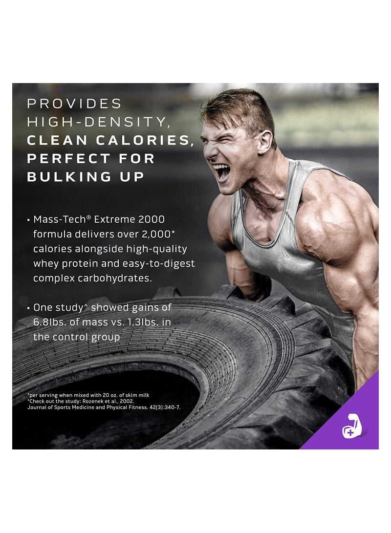 ماسل تيك Muscletech Mass Gainer Protein Powder, Mass-Tech Extreme 2000, Muscle Builder Whey Protein Powder, Protein + Creatine + Carb, Max-Protein Weight Gainer for Women & Men, Chocolate, 20 lbs  - Image 5