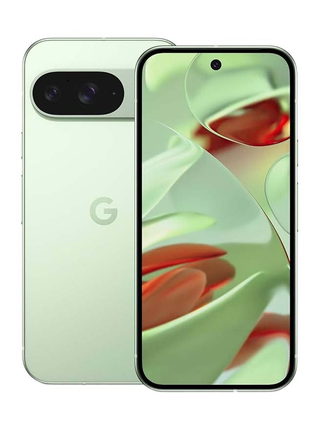 جوجل Pixel 9 Dual SIM Wintergreen 12GB RAM 128GB 5G - النسخة العالمية  - Image 1