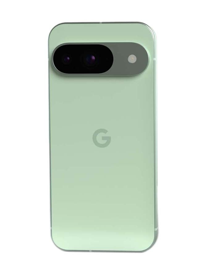 جوجل Pixel 9 Dual SIM Wintergreen 12GB RAM 128GB 5G - النسخة العالمية  - Image 2
