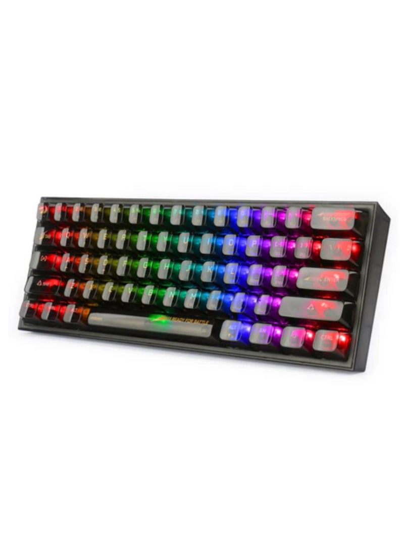 ريدراجون - K617CTB-RGB 60% Wired RGB Gaming Keyboard, 61 Keys Compact Full-Transparent Mechanical Keyboard - Image 1