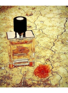 HERMES Terre D EDT Spray 200ml  - Image 4