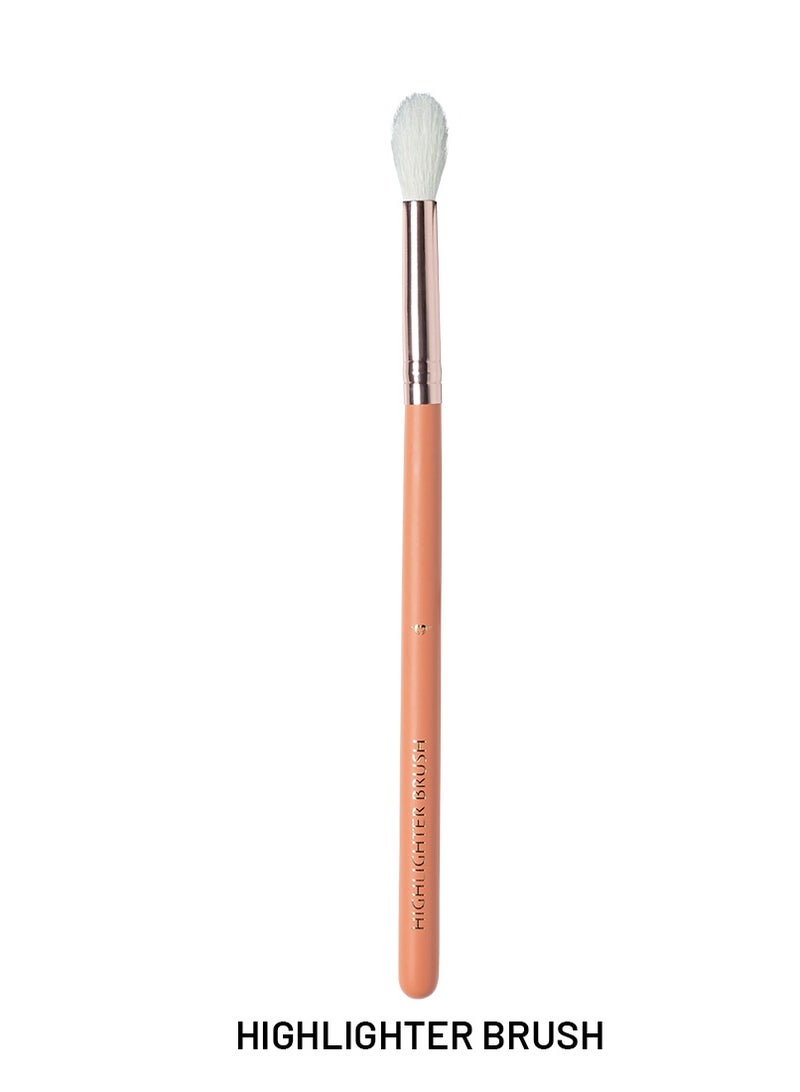 12-Pieces Brush Set - XZ013 Assorted
