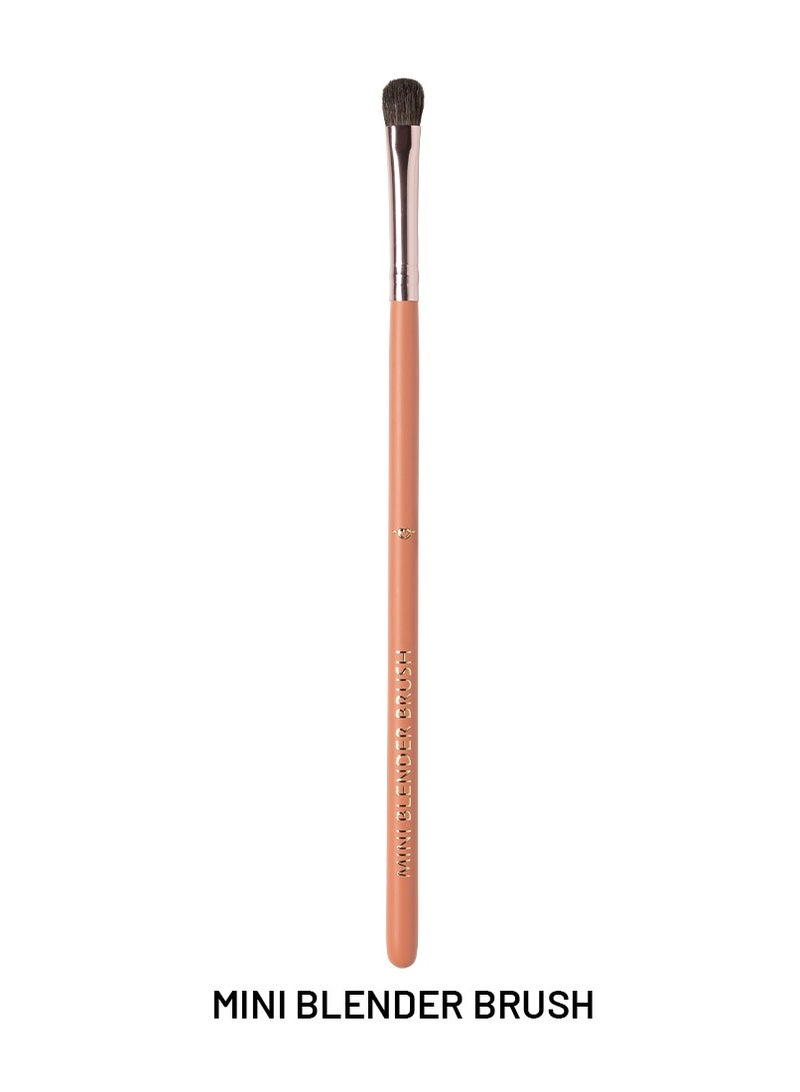 12-Pieces Brush Set - XZ013 Assorted