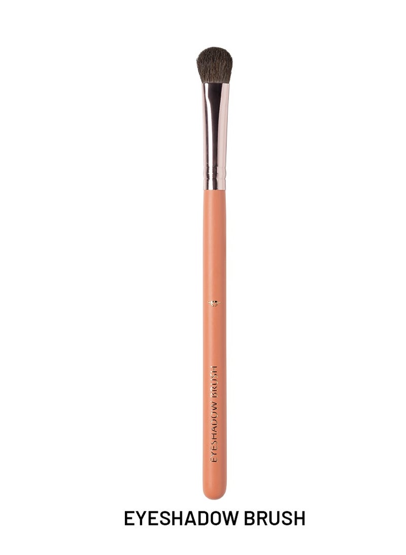 12-Pieces Brush Set - XZ013 Assorted