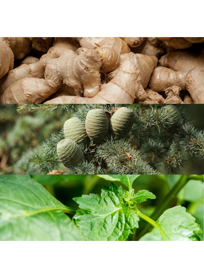 كالفن كلاين عطر يوفوريا أو دو تواليت - Image 4