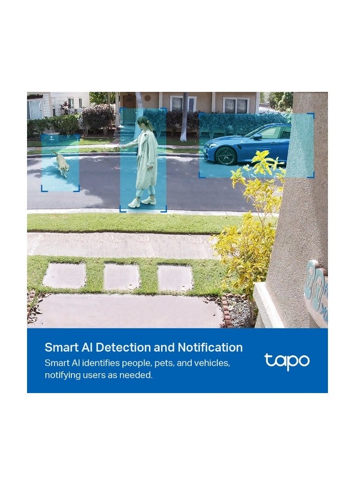 TP-LINK - TP-Link (Tapo C420S1) Outdoor Wireless Security Camera, 2K QHD, Color Night Vision, Starlight Sensor, Motion/Person/Vehicle Detection, 180 Day Battery, Works w/Alexa & Google Home, 1-Camera - Image 1
