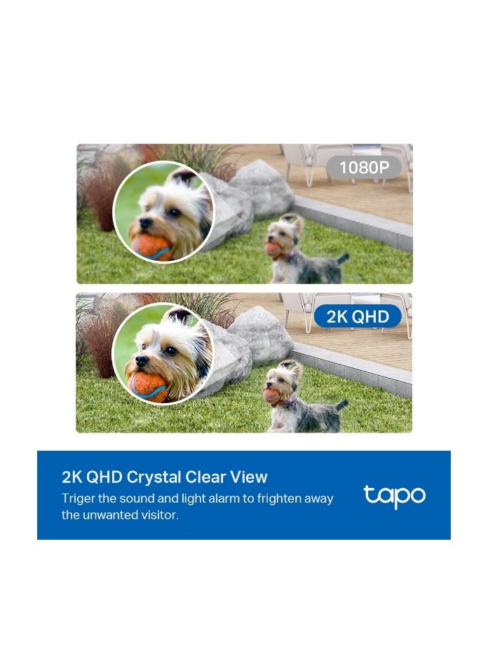 TP-LINK - TP-Link (Tapo C420S1) Outdoor Wireless Security Camera, 2K QHD, Color Night Vision, Starlight Sensor, Motion/Person/Vehicle Detection, 180 Day Battery, Works w/Alexa & Google Home, 1-Camera - Image 1