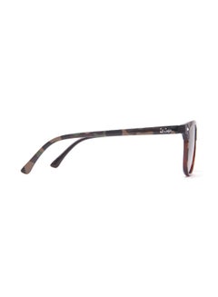 Lee Cooper Kids' Polarized Sunglasses Brown Frame Brown Lens - 50mm Lens - LCK105C02  - Image 4