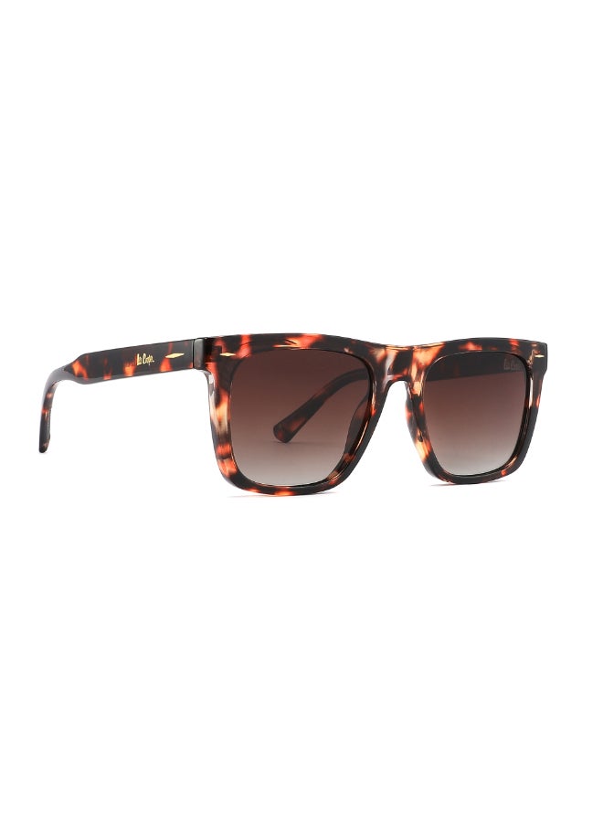 Lee Cooper Polarized Sunglasses Demi Frame Gr. Brown Lens - 50mm Lens - LC1021C02  - Image 2