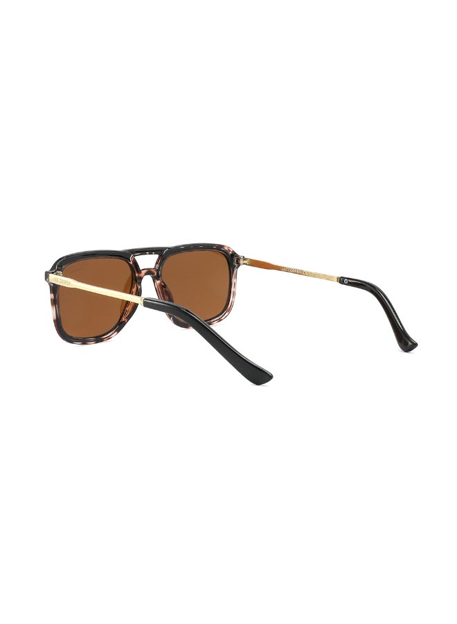 لي كوبر Men's Polarized Sunglasses Brown Frame Brown Lens - 55mm Lens - LC1023C03  - Image 3