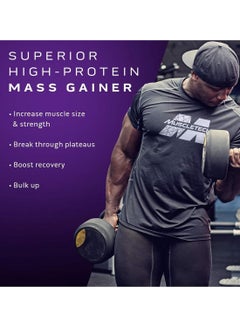 ماسل تيك 100% Mass Gainer High Protein Mass Gainer Chocolate Fudge Brownie 5.15 Lbs, 2.33kg  - Image 5