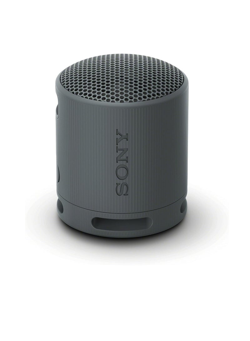 SRS-XB100 Wireless Bluetooth Portable Lightweight Super-Compact Travel Speaker, Extra-Durable IP67 Waterproof & Dustproof, 16 Hour Battery, Versatile Strap, and Hands-Free Calling New Black - pnsku/N70119168V/45/_/1728963996/605feb51-1a8b-4b10-9de8-d564c38f171a