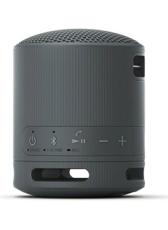 سوني SRS-XB100 Wireless Bluetooth Portable Lightweight Super-Compact Travel Speaker, Extra-Durable IP67 Waterproof & Dustproof, 16 Hour Battery, Versatile Strap, and Hands-Free Calling New Black  - Image 5