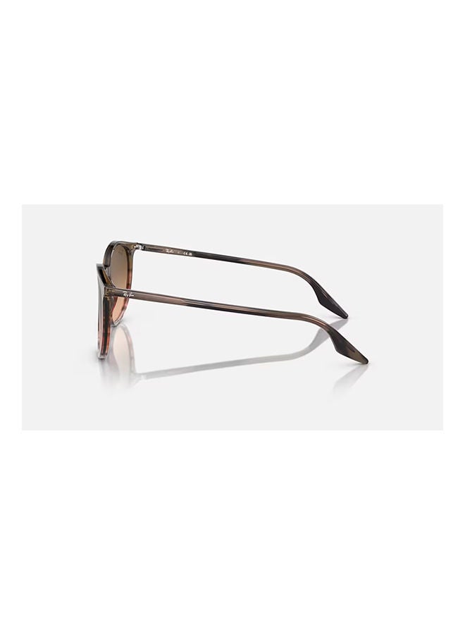 راي بان Full-Rimmed Square Sunglasses 2203,55,902,51  - Image 3