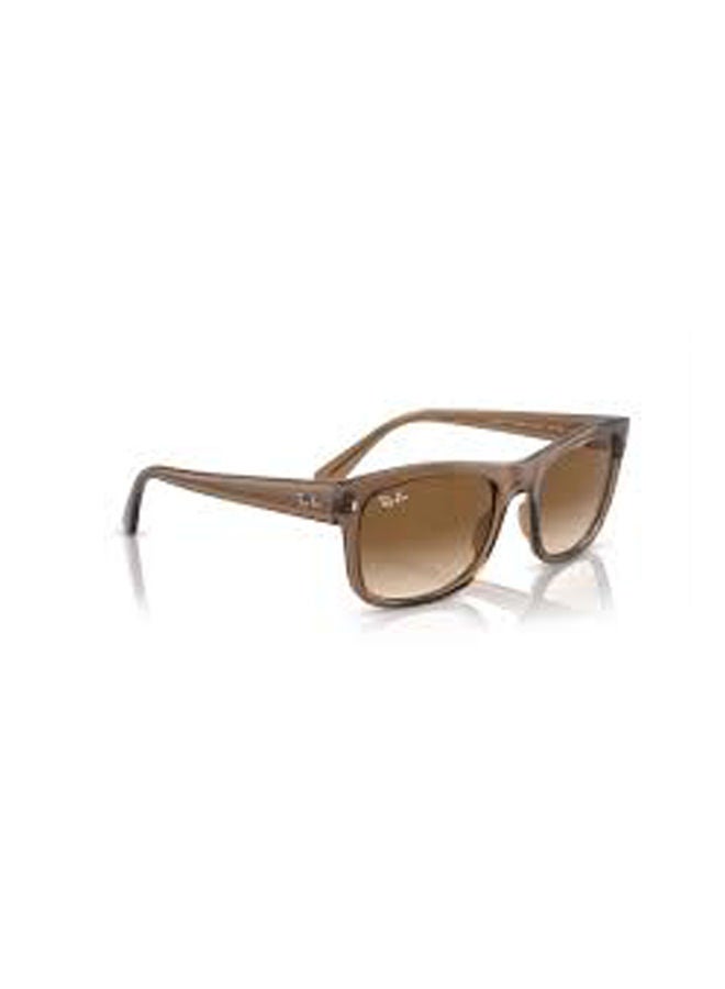 Ray-Ban - Full-Rimmed Square Sunglasses 4428,56,6640,51 - Image 1