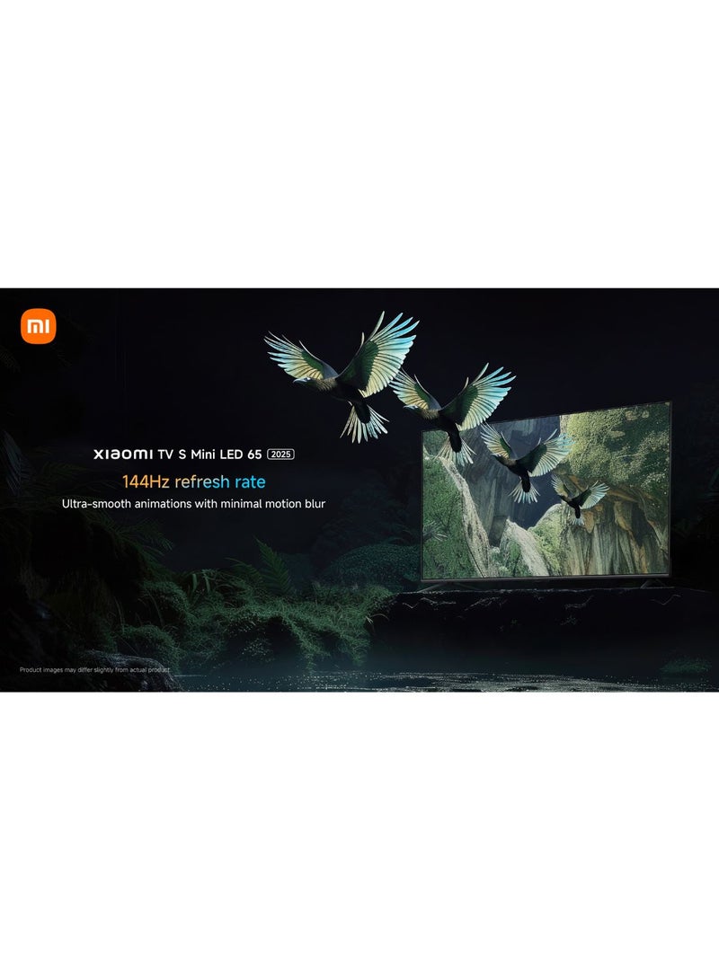 شاومي TV S Mini LED 65" 2025 | 4K QD-MiniLED | 144Hz refresh rate | Dolby Audio/Dolby Atmos/DTS-X​ | Powerful AI engine for image enhancement L65MASPLME Black  - Image 3