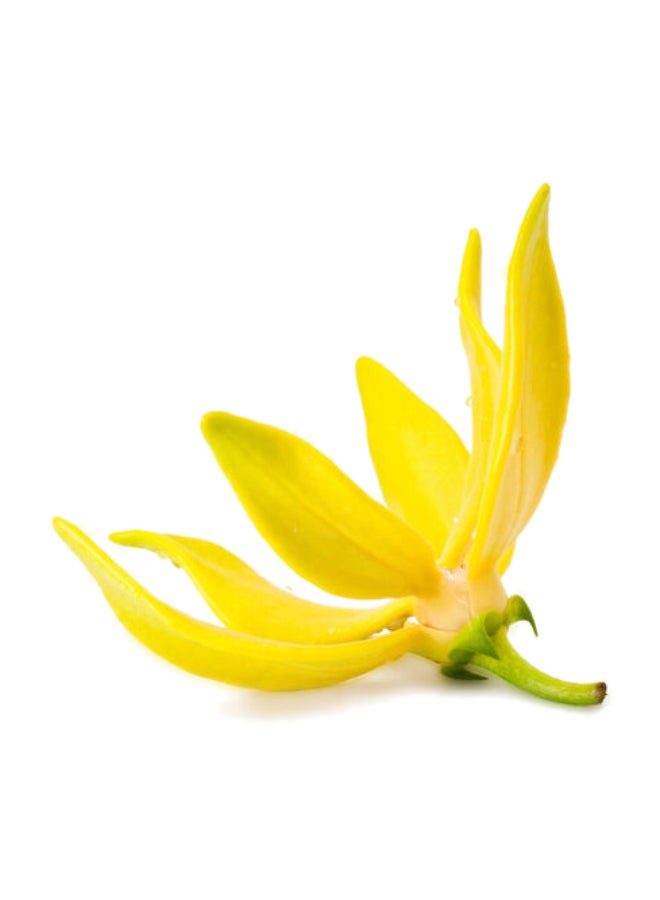 AVON Senses Sunkissed Sunsets Shower Gel 500Ml 500ml - Image 3