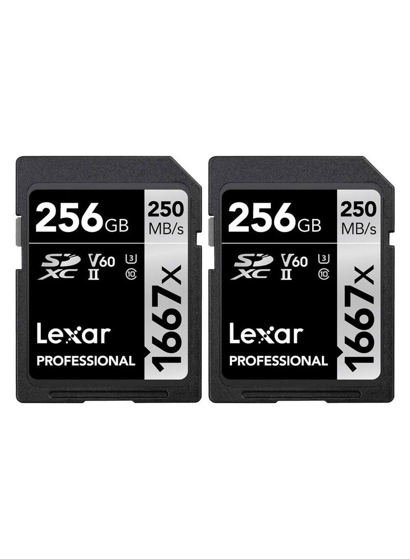 Lexar Professional SDHC/SDXC 1667x UHS-II 256gb Memory Card 2 Pack (LSD256CBNA1667) 256 GB - Image 1