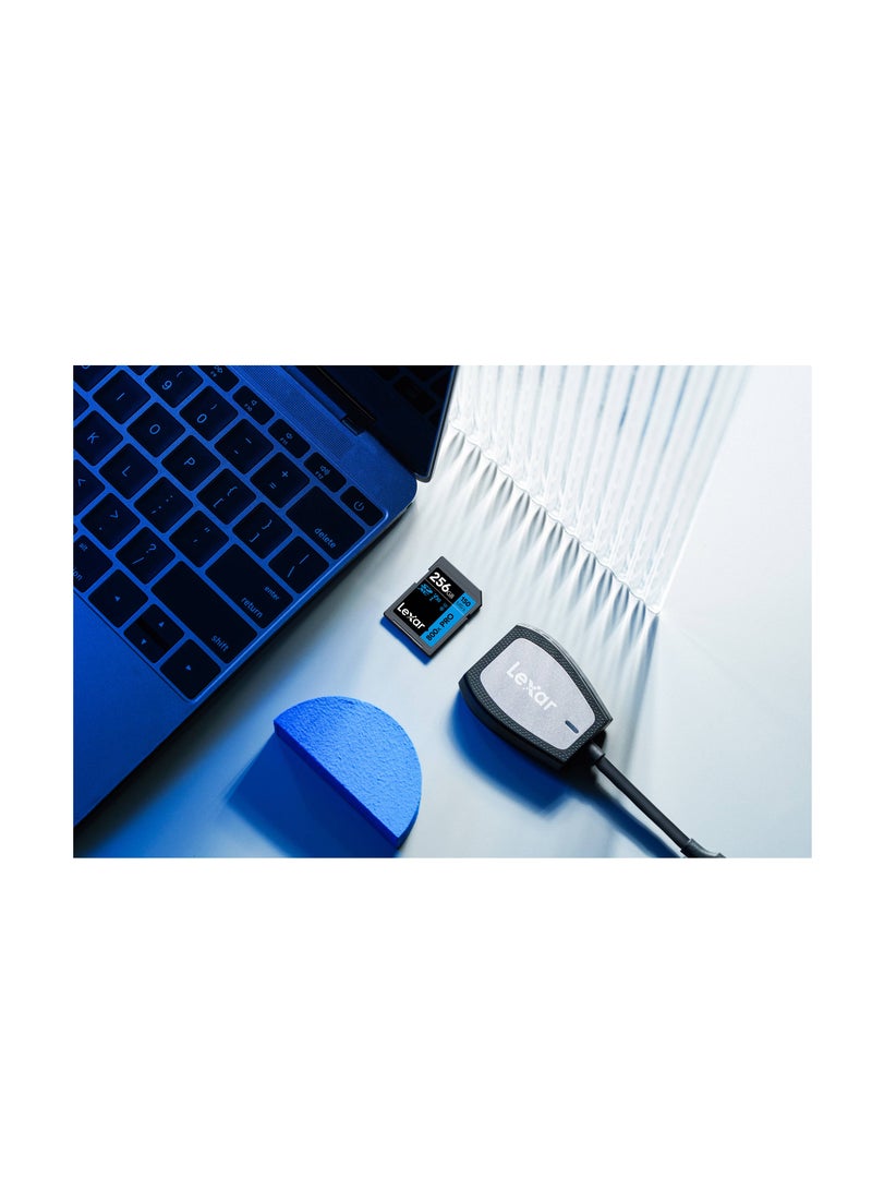 ليكسار - Lexar 256GB High-Performance 800x PRO UHS-I SDXC Card (BLUE Series) 256 GB - Image 1