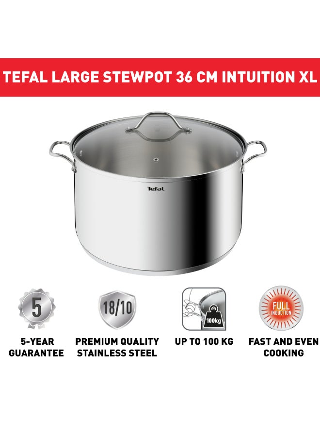 تيفال TEFAL قدر Intuition XL | 36 سم | الفولاذ المقاوم للصدأ 18/10 عالي الجودة | حجم XL | مقابض قوية | غطاء زجاجي | طنجرة للطهي بالحث | ضمان لمدة سنتين | B8647504 XLسم - Image 3