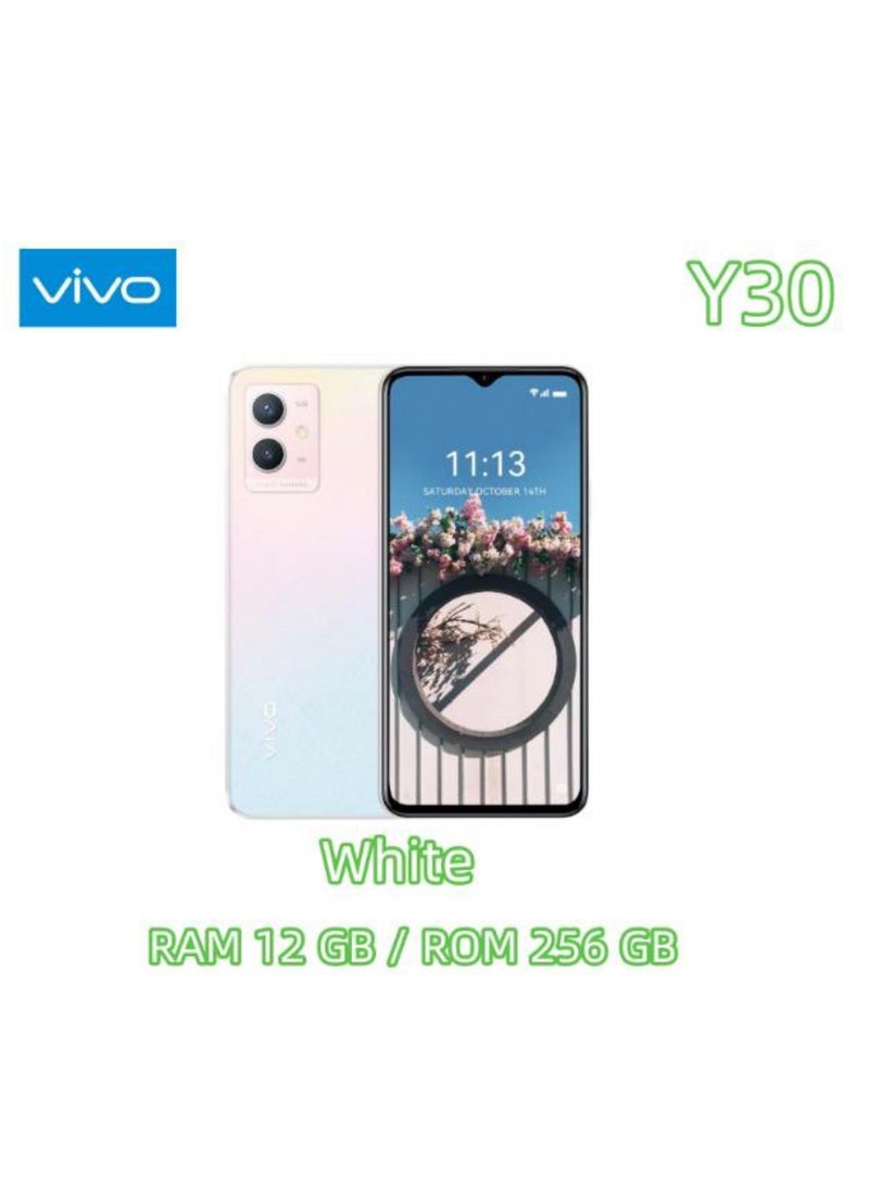 فيفو هاتف Vivo Y30 ثنائي الشريحة أبيض 12 جيجابايت RAM 256 جيجابايت 5G - Image 2