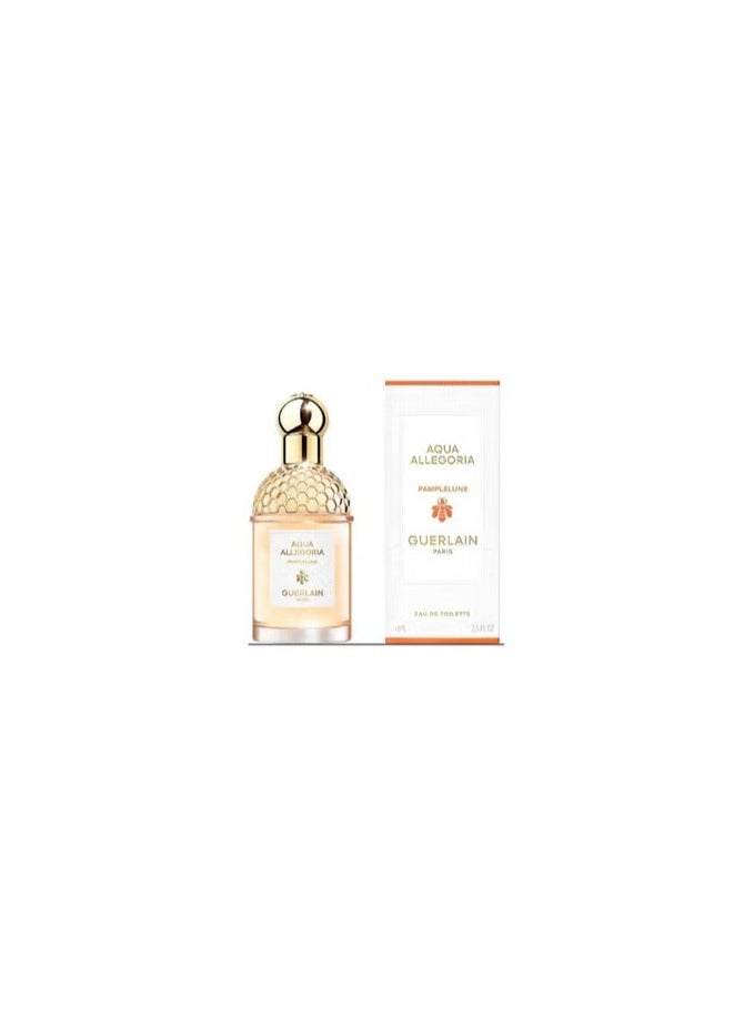 Academy Allegoria Pamplon EDP 125ml
