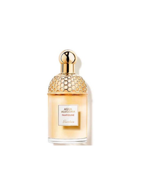Academy Allegoria Pamplon EDP 125ml