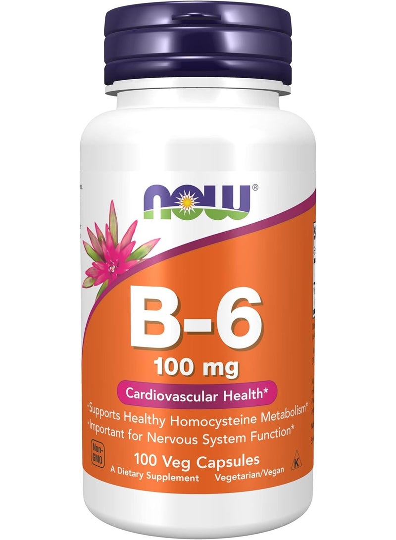 ناو فودز ن الآن فودز ب-6 100 ملغ 100 كبسولة - Image 1