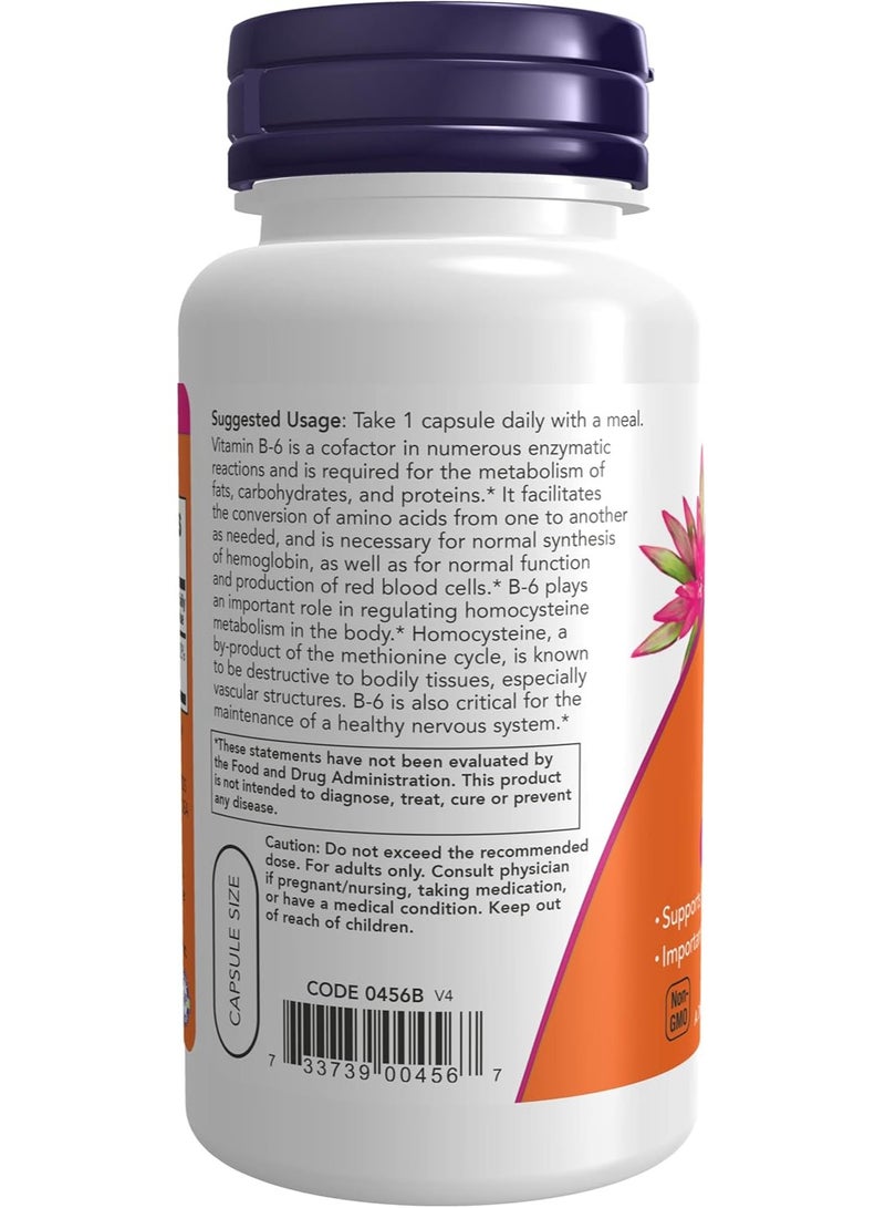 ناو فودز ن الآن فودز ب-6 100 ملغ 100 كبسولة - Image 3