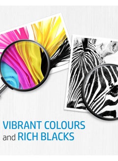 إتش بي 925 4-Color Ink Cartridge Set For Officejet Pro 8123, Officejet Pro 8120 series, OfficeJet Pro 8130 series Black,Cyan,Yellow,Magenta  - Image 5
