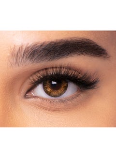 فريش لوك Pack Of 10 One Day Color Pure Hazel Disposable Contact Lenses  - Image 1