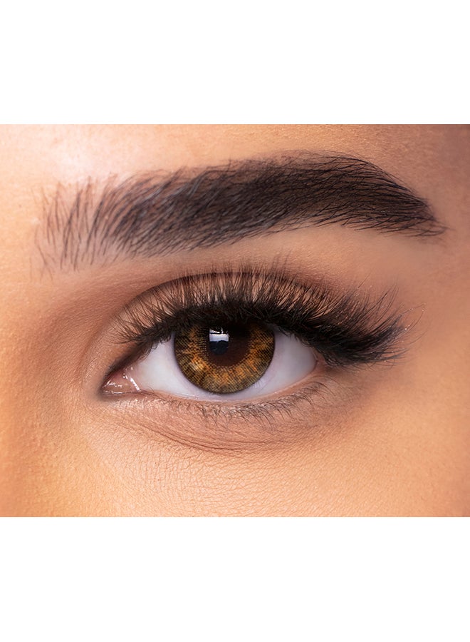 فريش لوك - Pack Of 10 One Day Color Pure Hazel Disposable Contact Lenses - Image 1