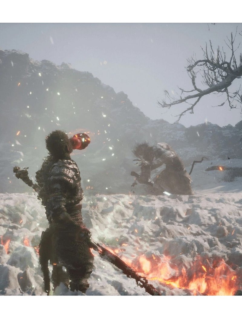 Sony Black Myth: Wukong GCAM - Action & Shooter - PlayStation 5 (PS5)  - Image 2