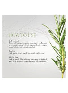 MIELLE Pack Of 2, Rosemary Mint Scalp And Hair Strengthening Oil - 59ml  - Image 5
