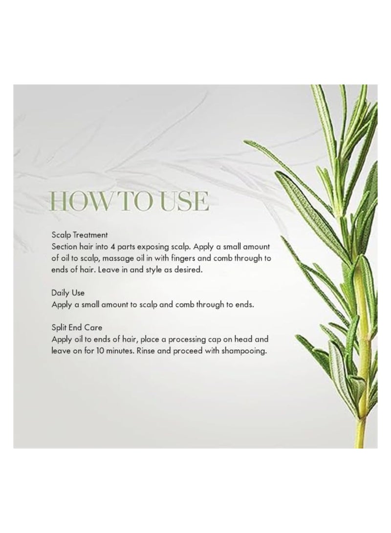 MIELLE Pack Of 2, Rosemary Mint Scalp And Hair Strengthening Oil - 59ml  - Image 5