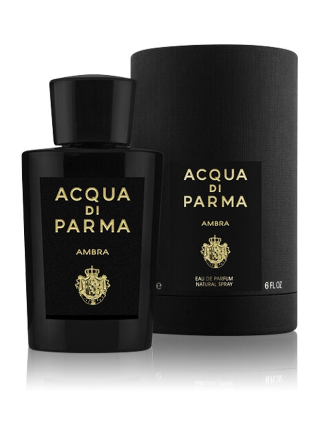 Ambra EDP - 180 ml - Image 2