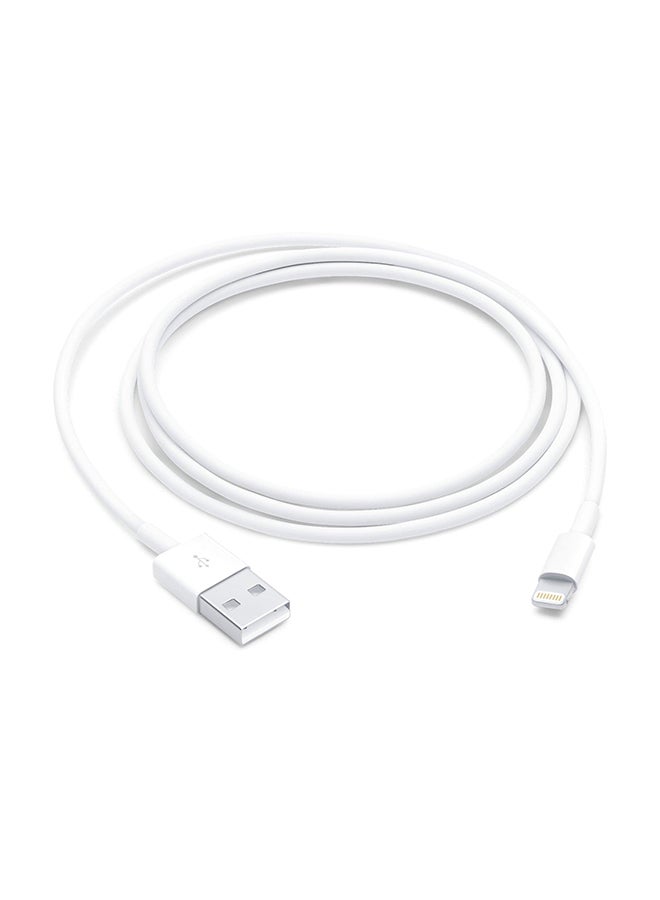 Lightning to USB Charging Cable 1M White - pnsku/N70136223V/45/_/1734946194/0936a59c-9672-4031-9ff2-d4c8d6959801