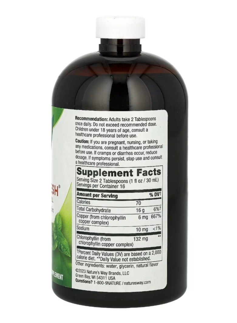 Nature's Way Chlorofresh Liquid Chlorophyll Peppermint 16 Fl Oz 480 Ml 132 Mg Per 2 Tablespoons - Image 2