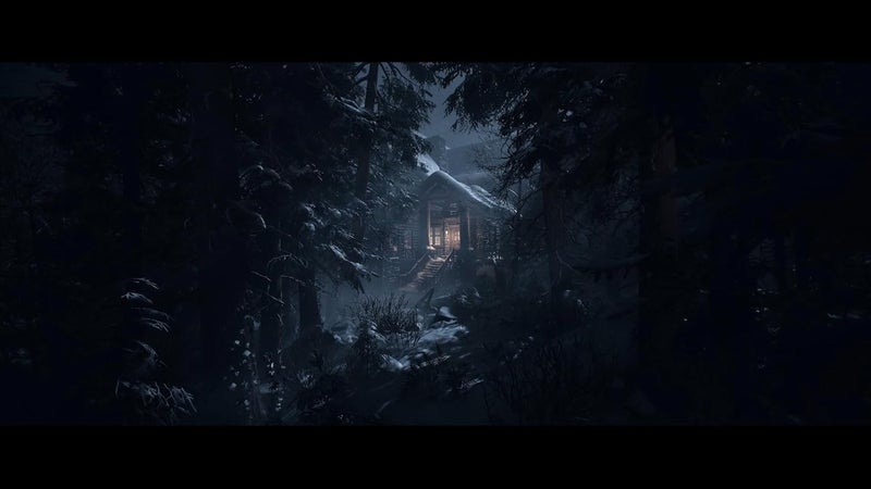 Sony Until Dawn - PlayStation 5 (PS5) - Image 5