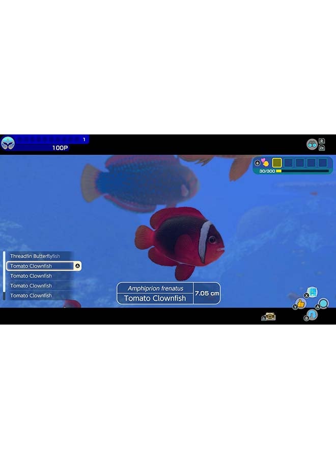 Nintendo Endless Ocean Luminous - Nintendo Switch  - Image 4