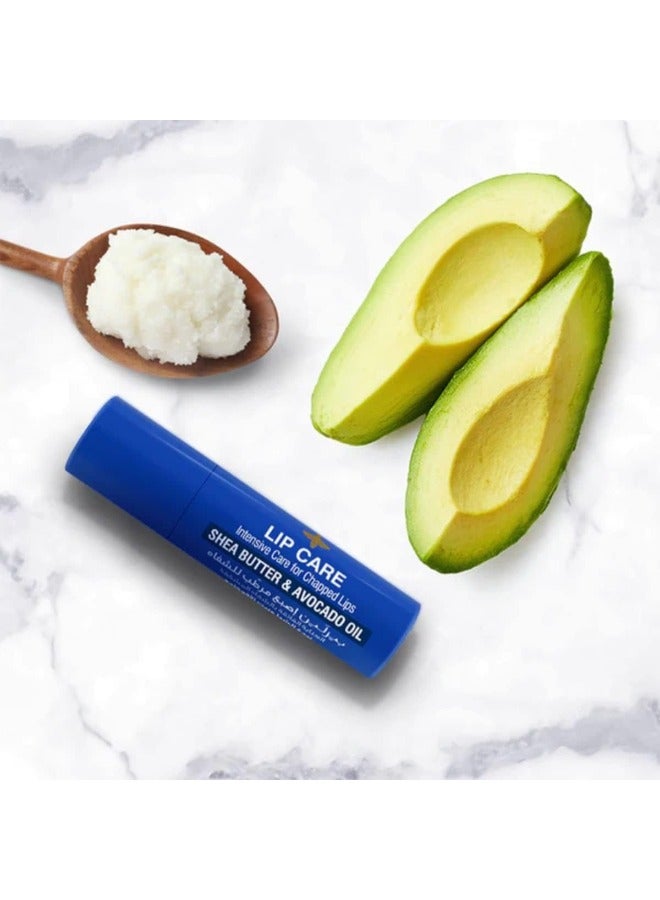 Beesline Lip Care Shea Butter & Avocado Oil 4 gm - Image 2