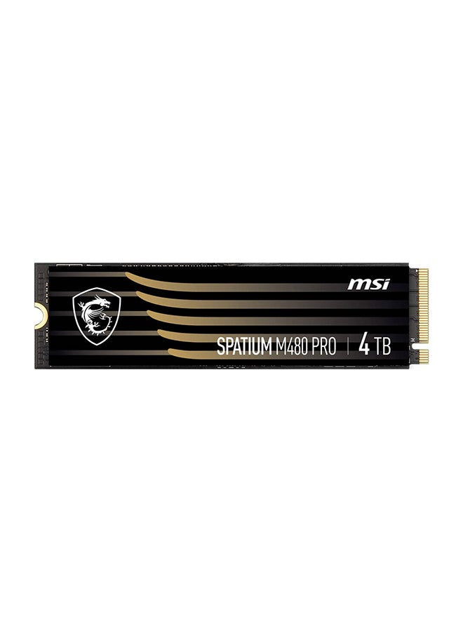 MSI Spatium M480 Pro PCIe Gen4x4 M.2 2280 Internal SSD, 4TB Capacity, Up To 7400MB/s Sequential Read & 7000MB/s Sequential Write Speed, 3000 TBW, 3D NAND | S78-440R050-P83 4 TB  - Image 2