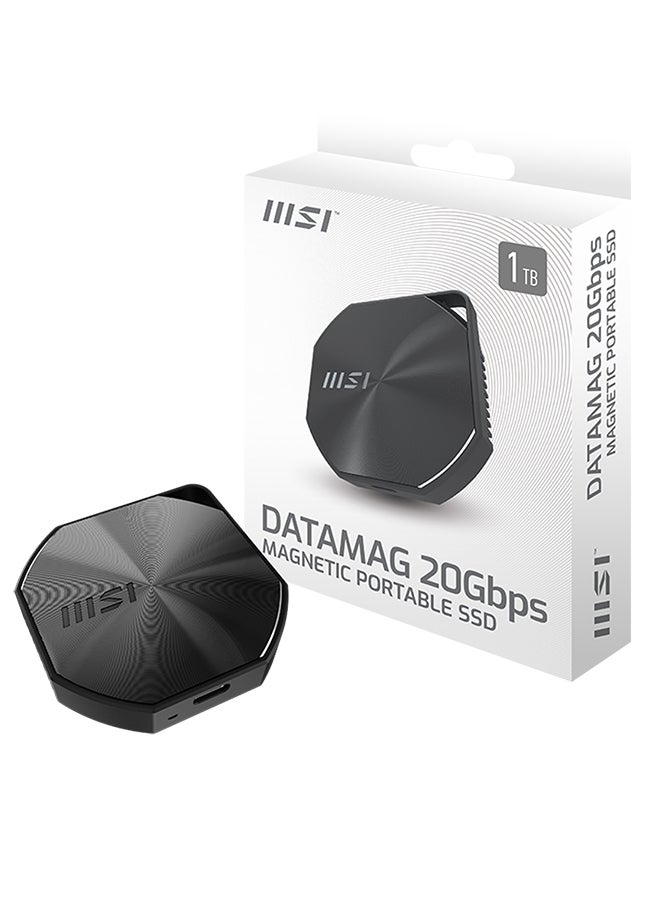 MSI - DATAMAG 1TB Portable SSD – 20Gbps SuperSpeed USB 3.2 Gen 2x2, 1600/1500 MB/s Read/Write, Magnetic Design with Aluminum Alloy Casing, Compact (81g), USB-C & USB-C to A Adapter, Heat Dissipation | S78-440L0B0-P83 1 TB - Image 1