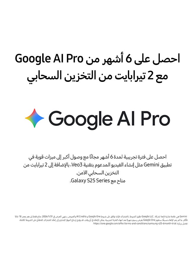 سامسونج جالاكسي S25 AI ثنائي الشريحة ظل فضي 12 جيجابايت RAM 256 جيجابايت 5G - نسخة الشرق الأوسط - Image 4