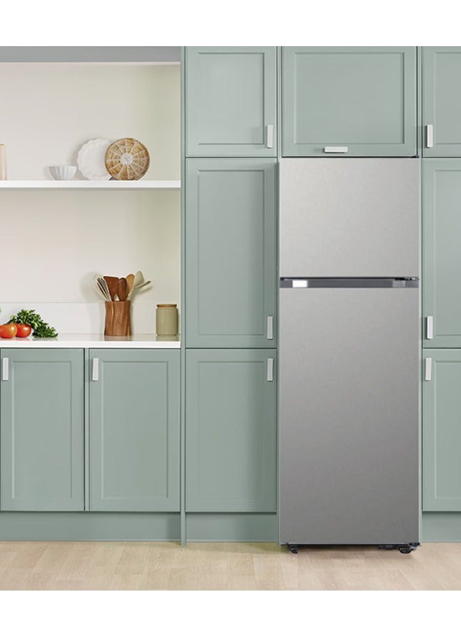 دانسات Refrigerator Two Doors - Steam - 8.9 Feet - Steel Full Inverter Operating System Electric Energy Saving All Way Cooling Distribution System - 251 L DAN1647NF Silver  - Image 2