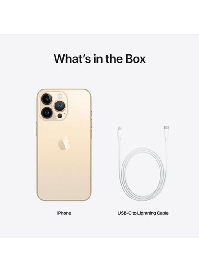 Apple - Refurbished - iPhone 13 Pro Max 1TB Gold 5G With Facetime - Image 1