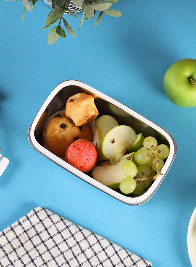 1000Ml Stainless Steel Lunch Box - Rf12172, Rectangle Tiffin With Polymer Lid And 4 Side Locks. Food-Grade, BPA-Free, Airtight, Leak-Proof. Keeps Food Fresh Beige/Silver