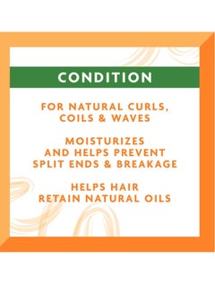 Cantu Cantu Coconut Curling Cream 12 oz & Hydrating Conditioner 13.5 fl oz Bundle for Natural Curls & Coils 13.5 Fluid Ounces, 12 Fluid Ounces  - Image 4