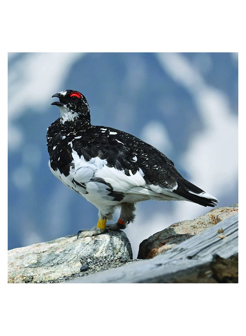 Nikon Nikon NIKKOR Z 100-400mm - Image 3