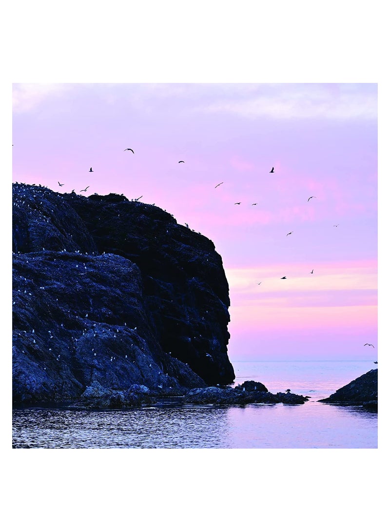 Nikon Nikon NIKKOR Z 100-400mm - Image 5